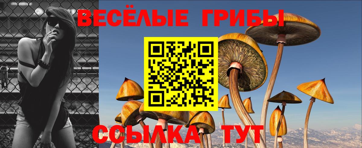 Псилоцибиновые грибы GOLDEN TEACHER Корсаков