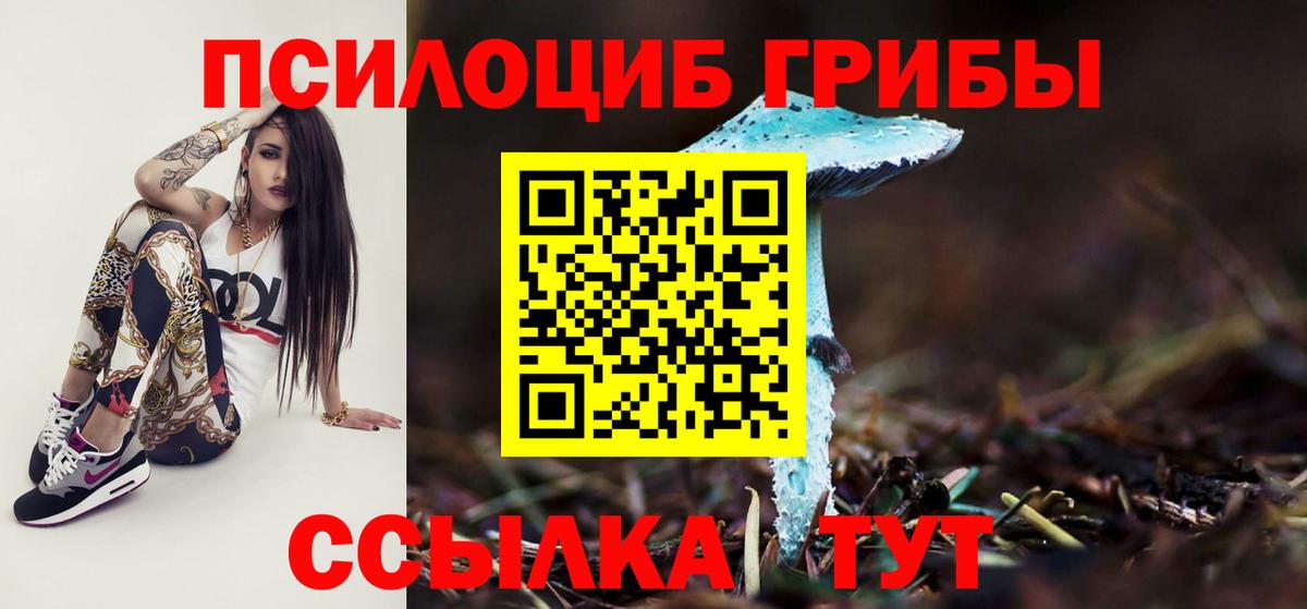 Псилоцибиновые грибы MAGIC MUSHROOMS  Вход с VPN  Корсаков 